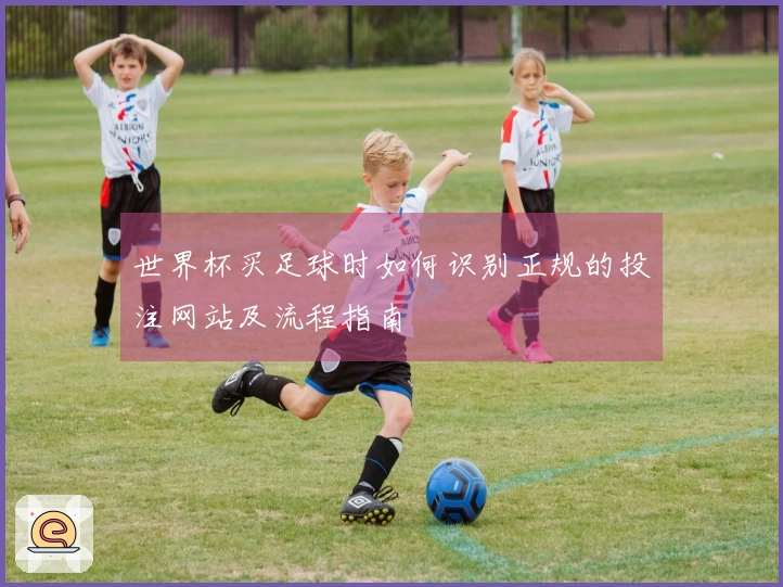 世界杯买足球时如何识别正规的投注网站及流程指南