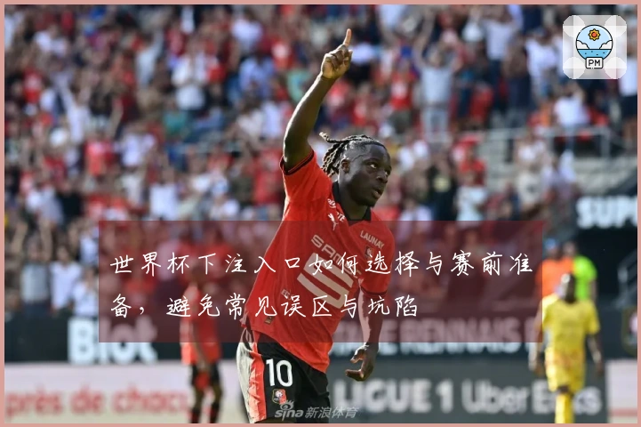 世界杯下注入口如何选择与赛前准备，避免常见误区与坑陷