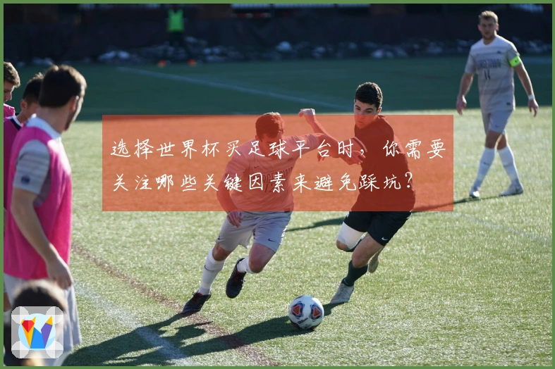 选择世界杯买足球平台时，你需要关注哪些关键因素来避免踩坑？