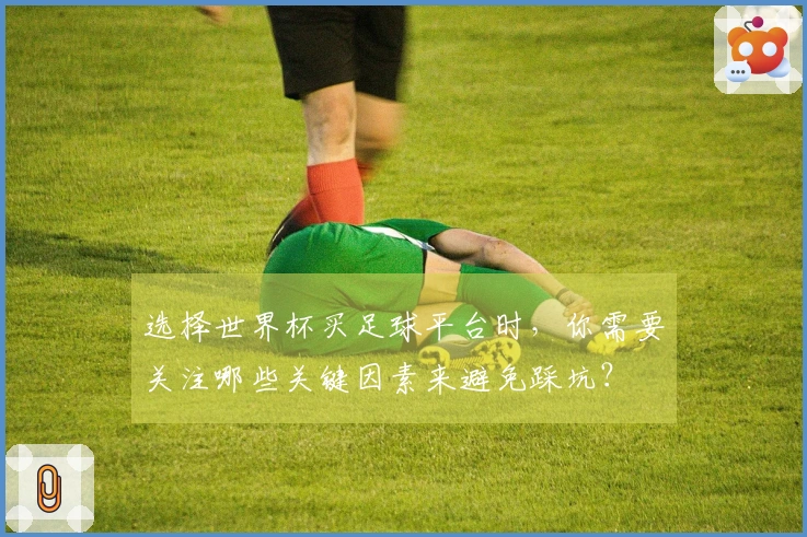 选择世界杯买足球平台时，你需要关注哪些关键因素来避免踩坑？