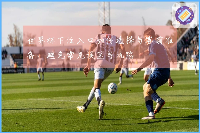 世界杯下注入口如何选择与赛前准备，避免常见误区与坑陷